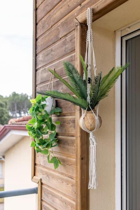 Appartement Des Grands Lacs Sanguinet Esterno foto